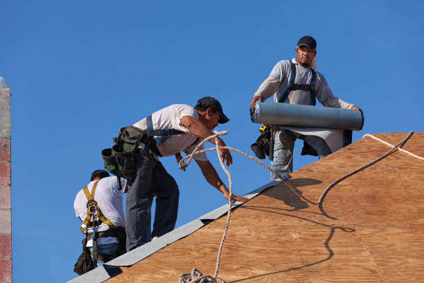 Roof Waterproofing Services in Cedar Grove, FL