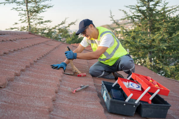 Best Roof Leak Repair  in Cedar Grove, FL
